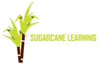 Sugarcane Learning